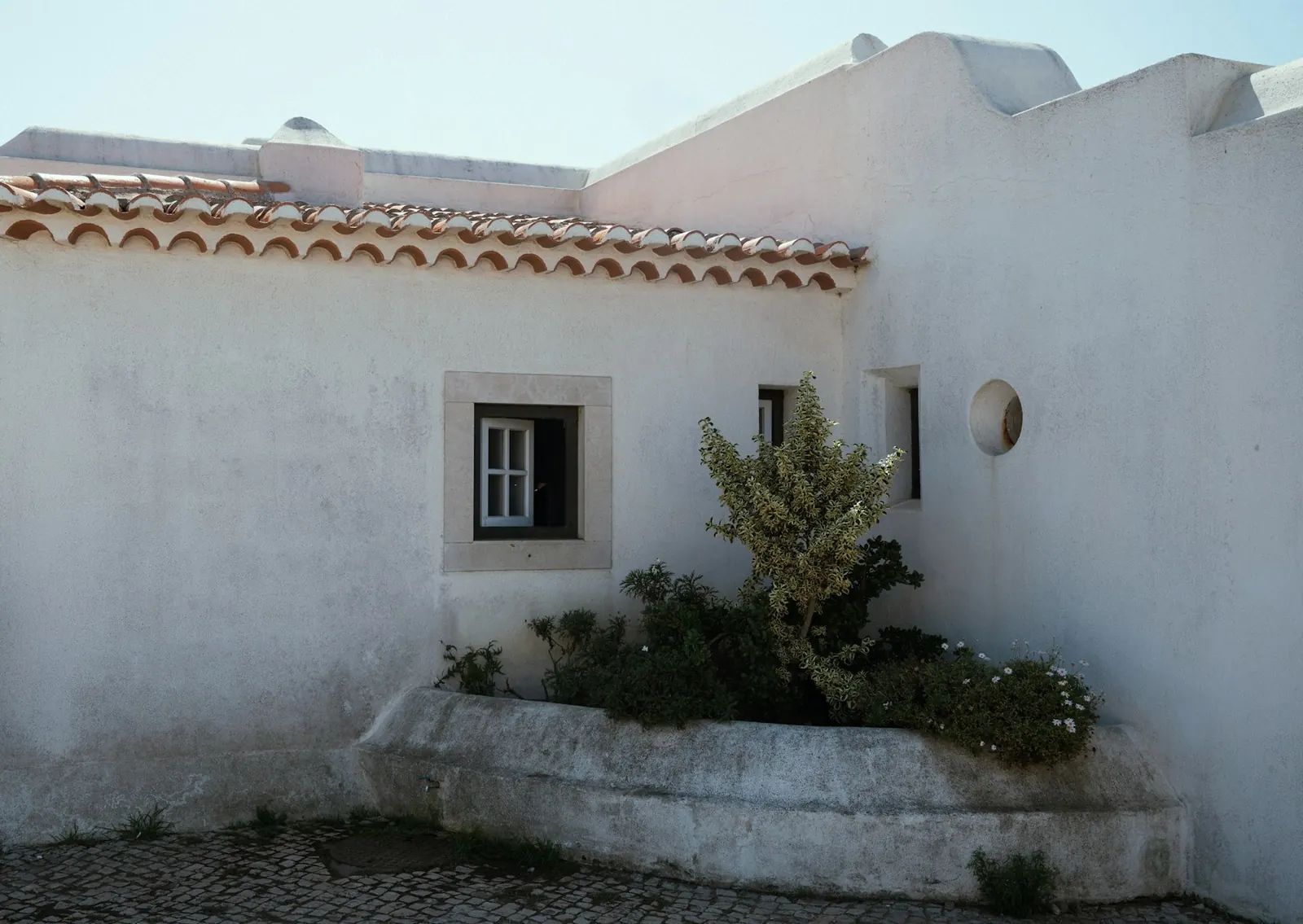 Una casa bianca a calce con le finestre piccole e le piante grasse